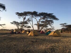 Kamperen in Ngorongoro Krater Hoogland - safari Tanzania