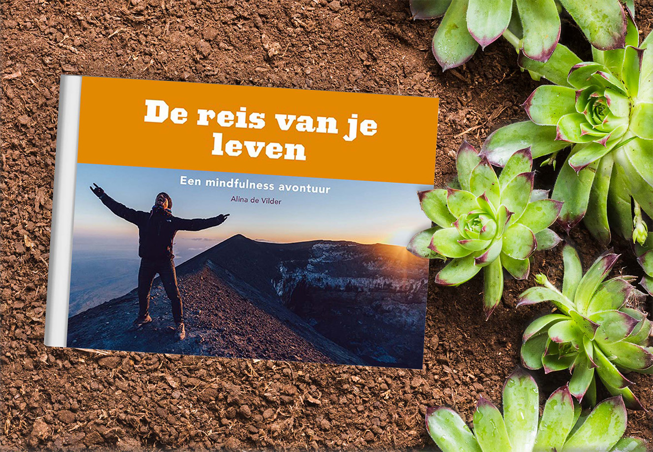 mindful adventure de reis van je leven