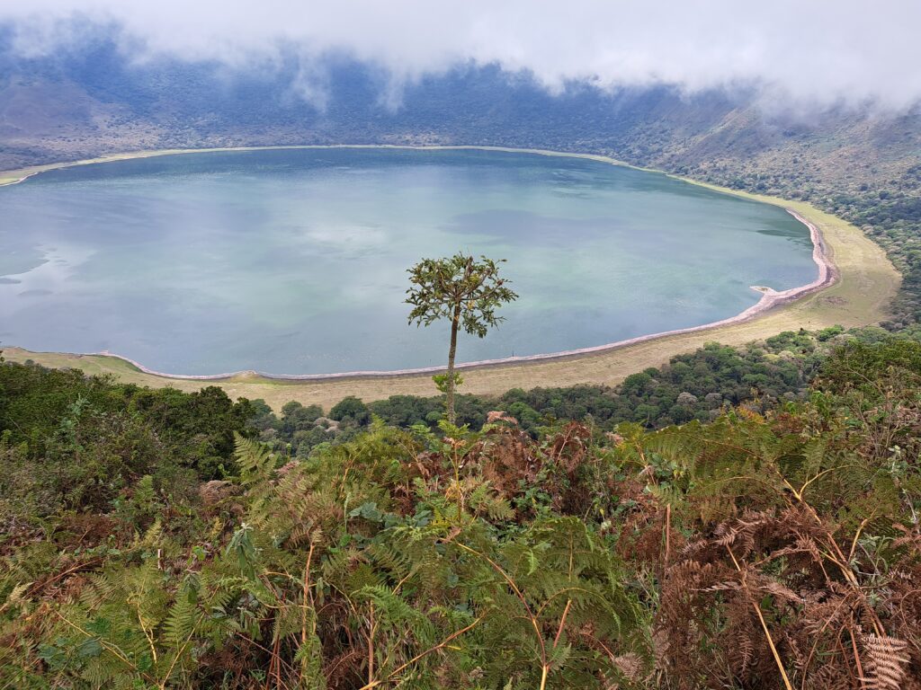 Trektocht Ngorongoro kleine krater Trektocht Ngorongoro kleine krater