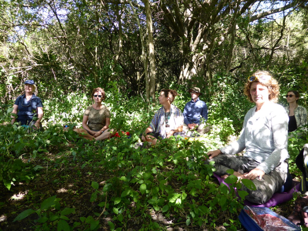 Mindfulness retraite ademmeditatie Ademmeditatie Mindfulness retraite